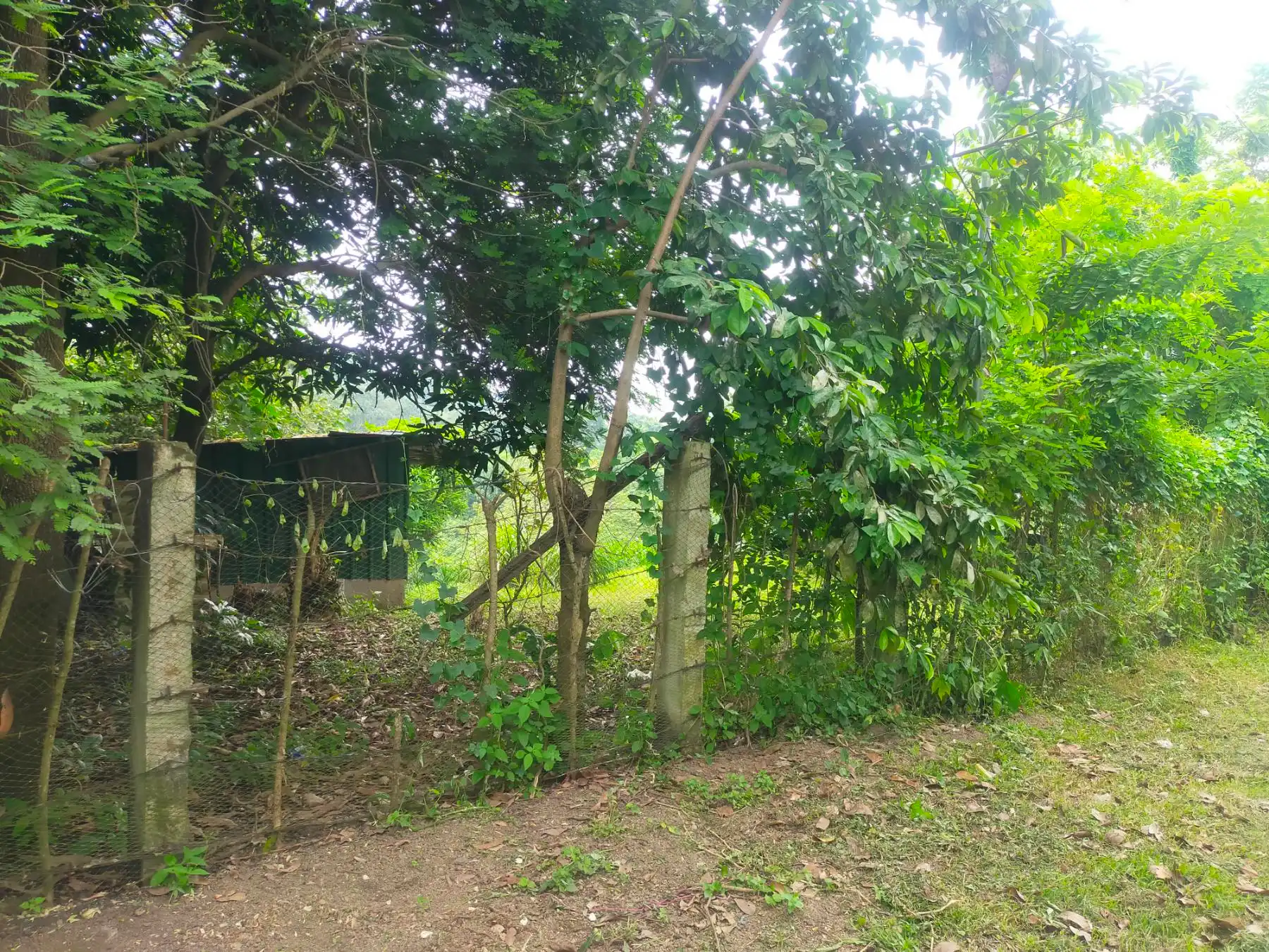 Property 3